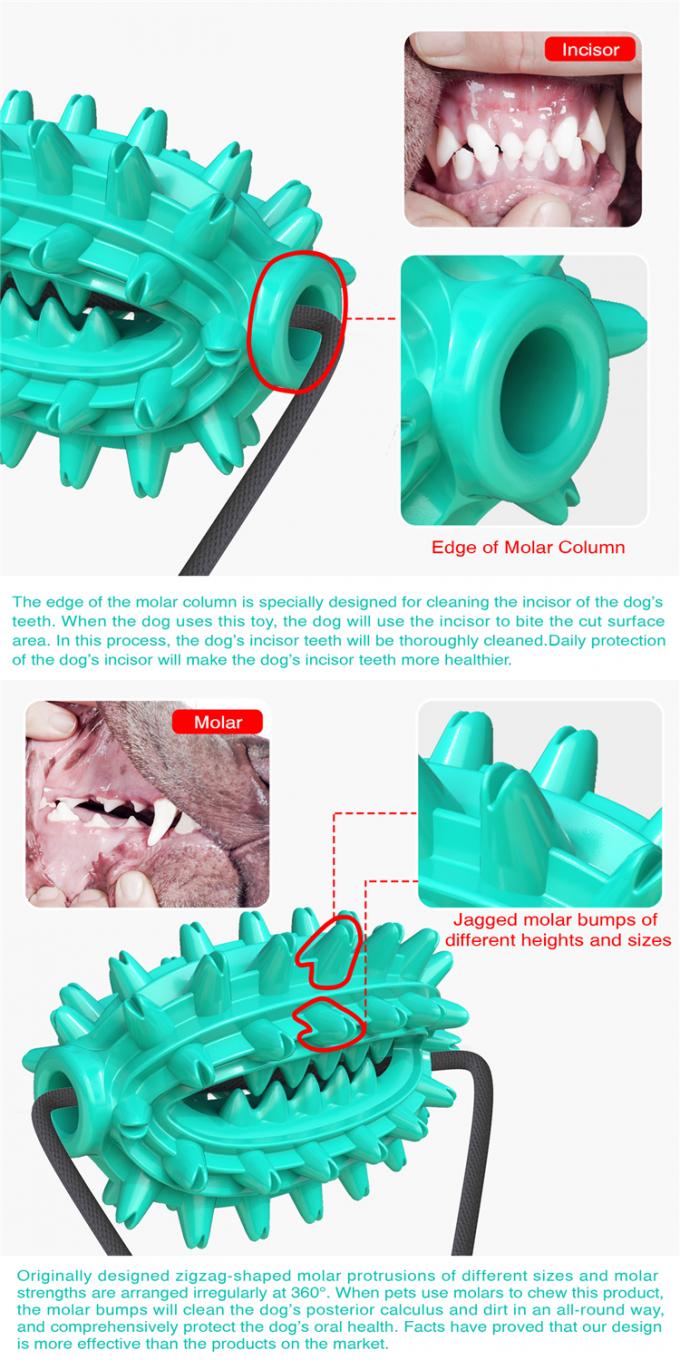 Denti di alta qualità 2021 di Of del produttore che puliscono i giocattoli dello spazzolino da denti del cane con i prodotti interattivi elastici dell'animale domestico dei giocattoli
